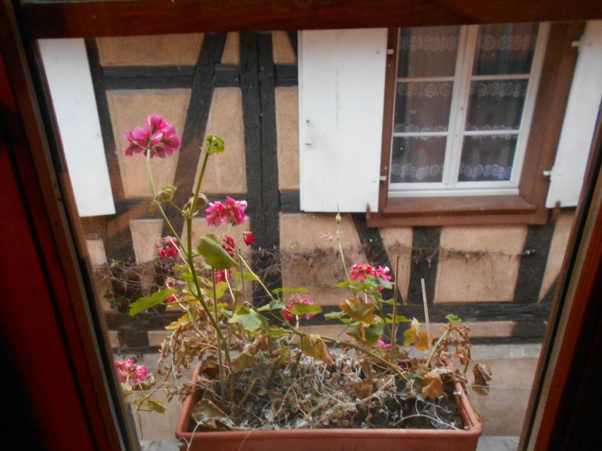 La Cour Des Meuniers - Le Froment Et L'Epeautre Appartement Kaysersberg-Vignoble Buitenkant foto